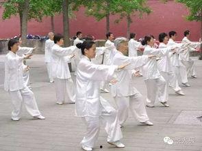 太极拳吃瓜视频在线观看,跟随吃瓜视频，在线领略国术风采