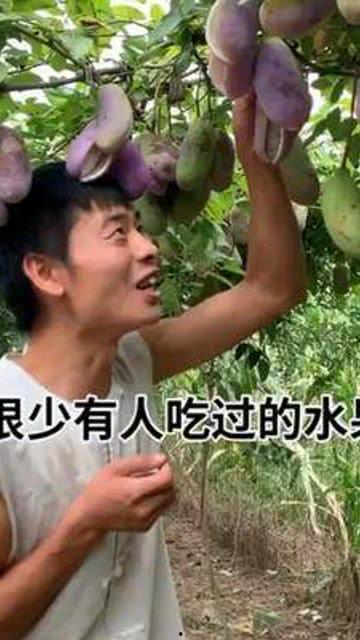 韩国人吃8月瓜好吗视频,8月瓜的神奇魅力与食用指南