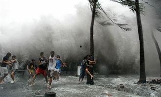 台风吃瓜的视频,吃瓜群众如何应对？