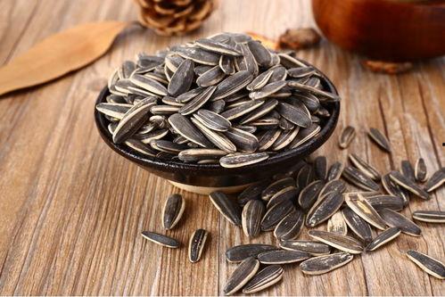 瓜仔吃瓜子视频,一场味蕾与视觉的盛宴