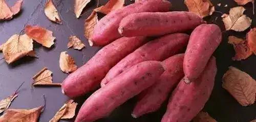 地瓜带你吃瓜搞笑视频,搞笑视频盛宴来袭！