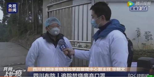 今日四川吃瓜新闻直播视频,揭秘今日热点事件幕后真相