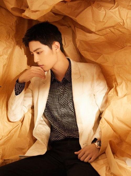 肖战吃瓜菊原版视频,揭秘明星幕后趣事