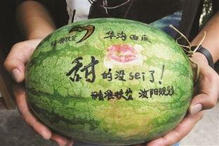 旅游景点吃瓜视频素材,吃瓜视频带你一窥幕后美食风情