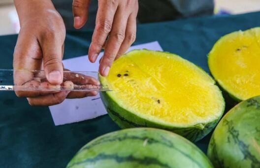 百年吃瓜视频,吃瓜群众见证时代变迁