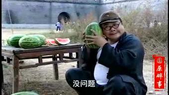 吃瓜看戏举大锤视频,揭秘网络热门视频背后的故事