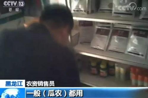 上海男子吃瓜事件视频曝光,视频曝光引发网友热议