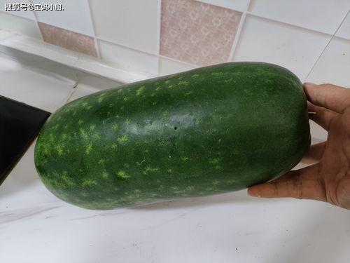 秋瓜能做什么菜吃呢视频,创意秋季菜肴制作指南