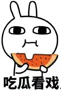 经典吃瓜吐槽段子视频,经典段子视频大盘点