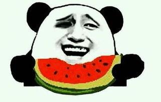 郑慧杰吃瓜视频大全下载,趣味横生的娱乐盛宴