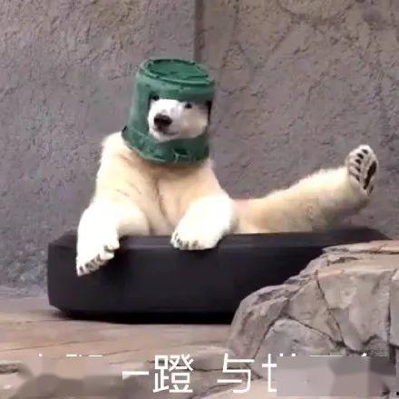 沙雕吃瓜吐槽视频大全,笑料百出!沙雕吃瓜吐槽视频大盘点