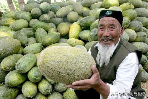 韩国吃新疆哈密瓜视频,韩国网友疯狂追捧新疆哈密瓜