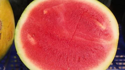 吃瓜中的小仙女是谁啊视频,她是谁？