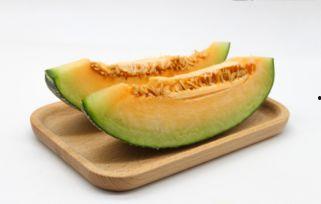 吃鱼会吃哈密瓜吗视频