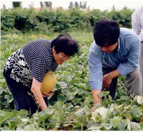 南京交院吃瓜视频,揭秘校园热点事件背后的真相