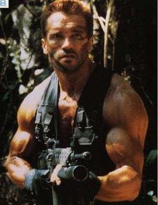 阿诺德吃瓜视频,揭秘娱乐圈幕后故事