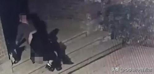 吃蚂蚁瓜视频完整版,揭秘神奇植物与蚂蚁的共生之谜