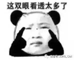 吃瓜傻子视频下载,热门娱乐内容一键获取攻略