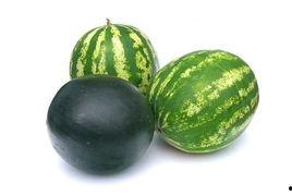 新兴吃瓜事件视频大全,新兴吃瓜事件视频大全，揭秘热点背后的真相