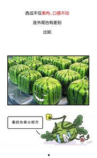 历史吃瓜事件视频,那些年我们围观的热闹往事