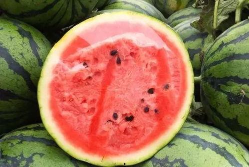 吃瓜被吓视频素材无水印,无水印吃瓜视频揭秘惊悚幕后