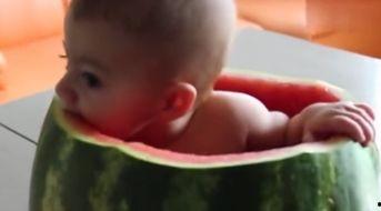 三伏天吃瓜笑话视频,趣味视频揭秘夏日消暑新潮流