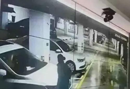 车库吃瓜视频,揭秘网红视频背后的故事