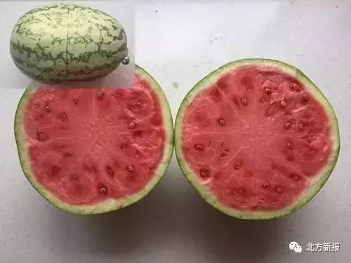 假瓜是怎么吃的图片视频,图片视频带你领略另类美食风潮