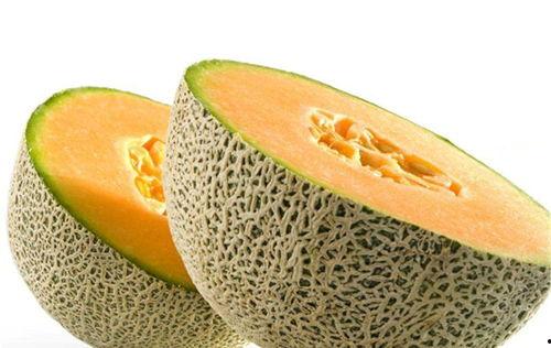 哈密瓜猪吃有营养吗视频,吃哈密瓜对猪有益吗？