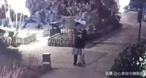 邯郸水城吃瓜事件视频曝光,一场引发社会热议的争议事件