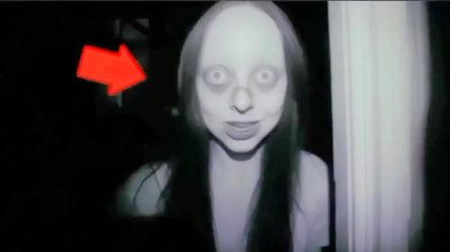 恐怖事件吃瓜视频下载