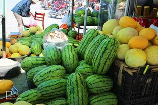 招远美女吃哈密瓜视频播放,视频播放引发热议