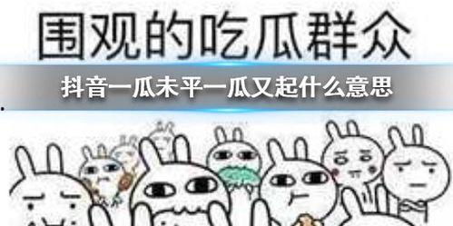 抖音群众吃瓜视频,群众吃瓜视频，揭秘娱乐圈幕后真相