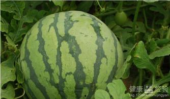 湖南怀化吃瓜事件视频