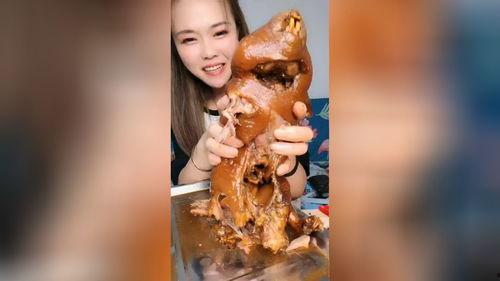 竹鼠吃瓜的视频大全播放,竹鼠吃瓜视频大全播放盛宴