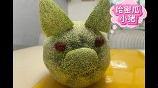 大猪猪吃哈密瓜小视频,萌态十足引网友热议