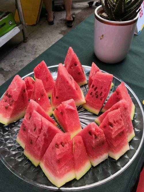 宁夏吃瓜视频大全集,吃瓜视频大全集，带你领略塞上江南的味蕾盛宴
